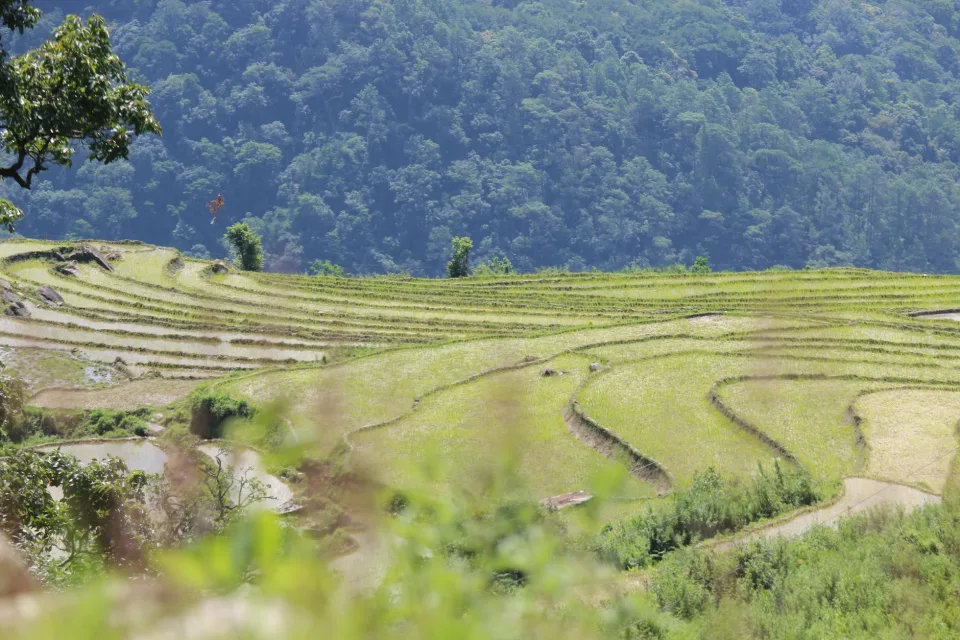 Kho gạo của Trần Thị Thu Ba